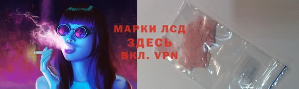дмт Гусев
