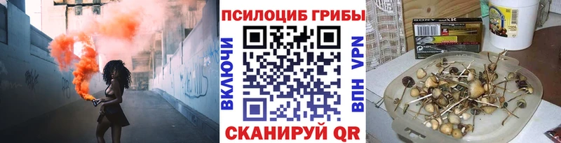 Псилоцибиновые грибы MAGIC MUSHROOMS  Егорьевск 